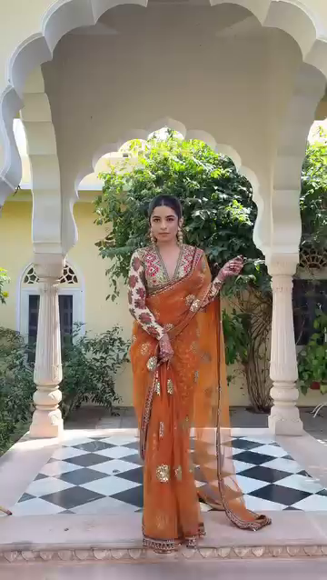 Orange Embroidered Net Saree with Sequin Blouse