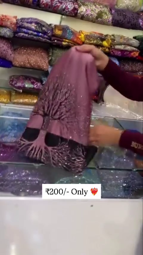 Designer Embroidered Saree with Contrast Panel & Sequin Detailing – Partywear Special